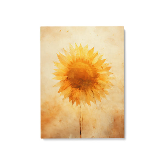 Sonnenblume