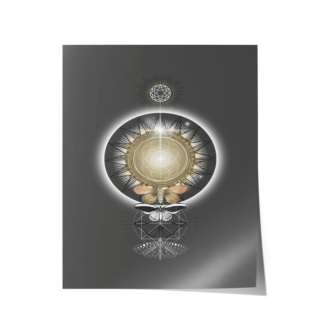 Metamorphosis of Light