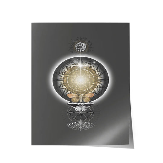 Metamorphosis of Light