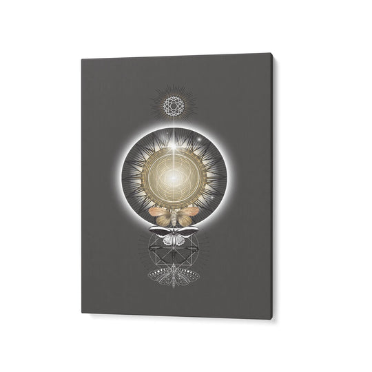 Metamorphosis of Light