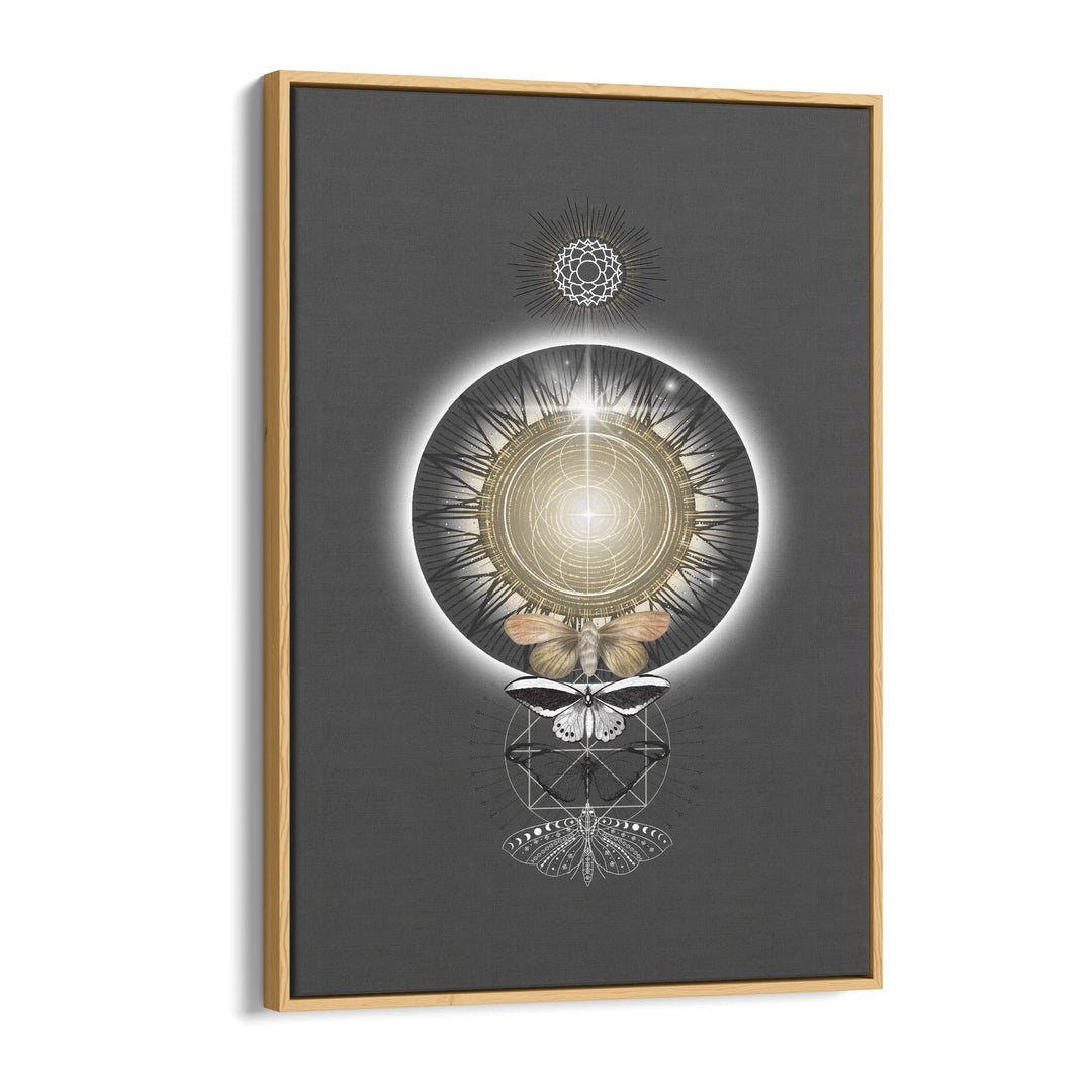 Metamorphosis of Light