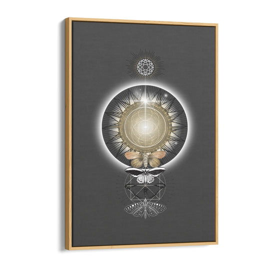 Metamorphosis of Light