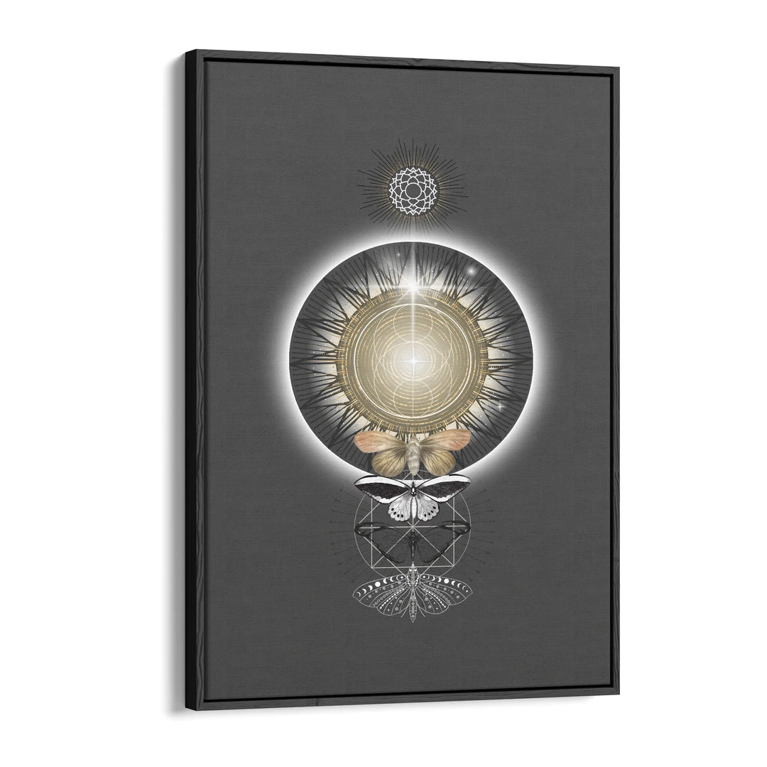 Metamorphosis of Light