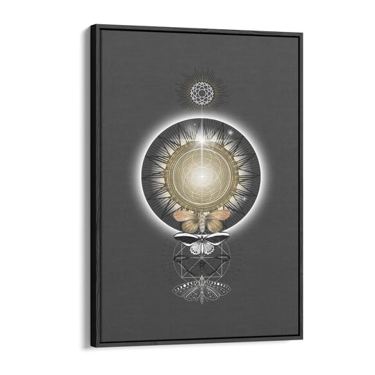 Metamorphosis of Light