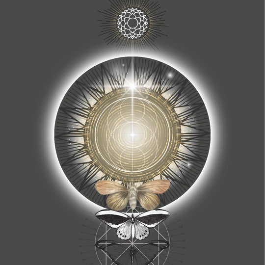 Metamorphosis of Light